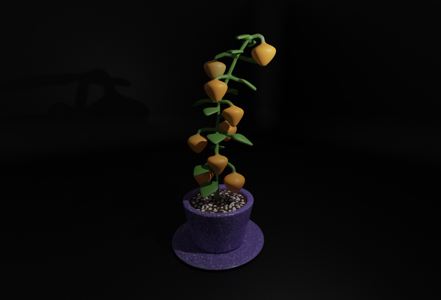 Chinese Lantern Plant